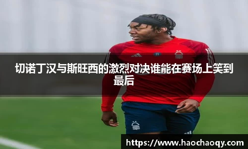切诺丁汉与斯旺西的激烈对决谁能在赛场上笑到最后